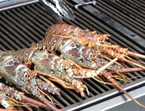 Florida lobsters, called spiny lobsters, are known for their sweet, tender meat, and are perfect grilled.